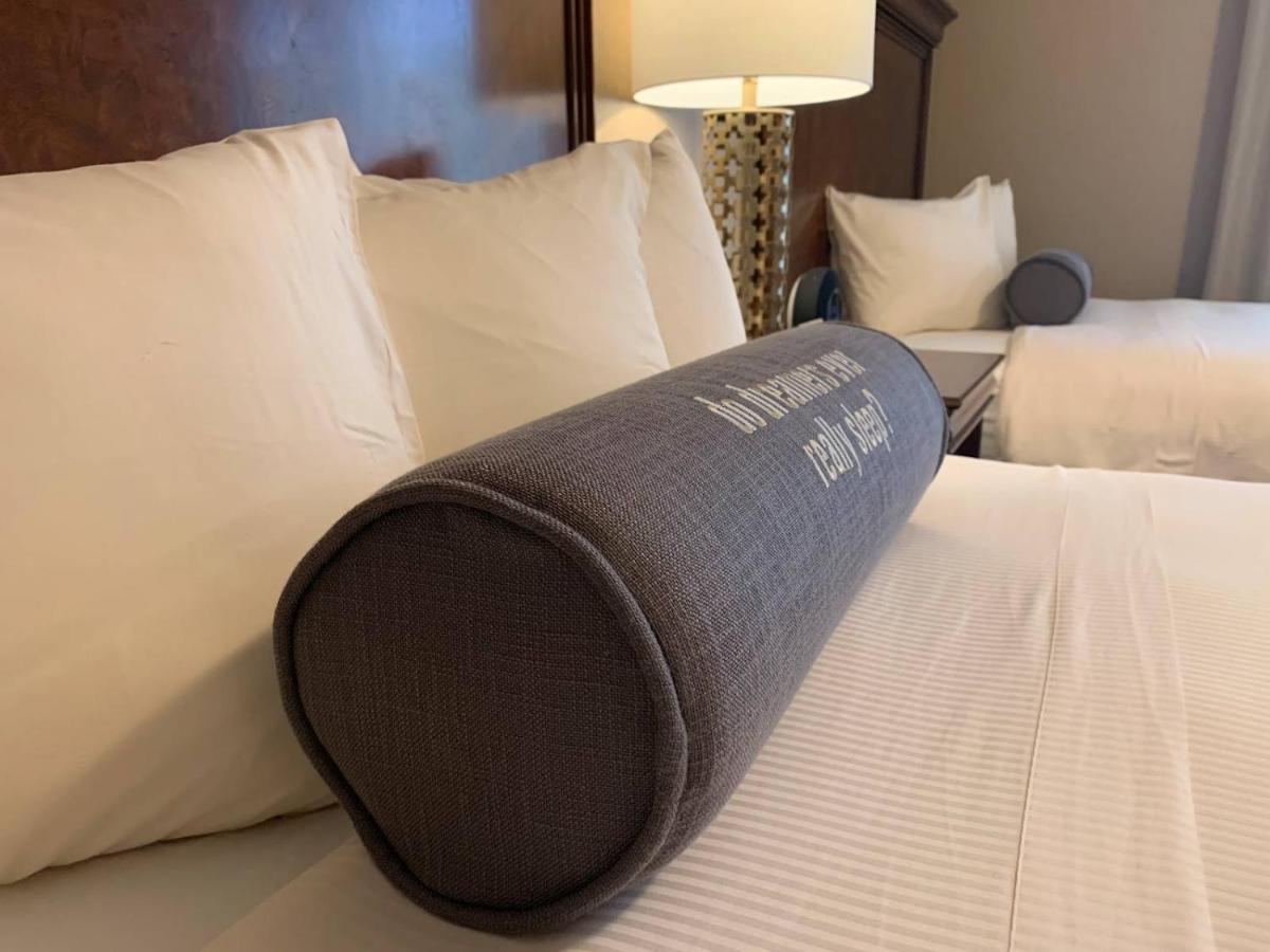 Heru Pyramids View Hotel カイロ エクステリア 写真