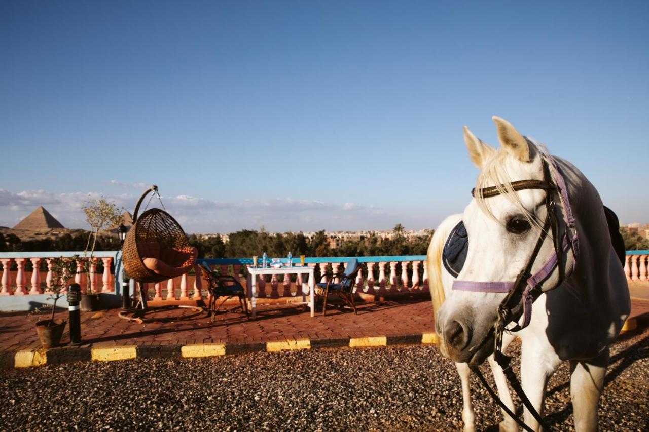 Heru Pyramids View Hotel カイロ エクステリア 写真